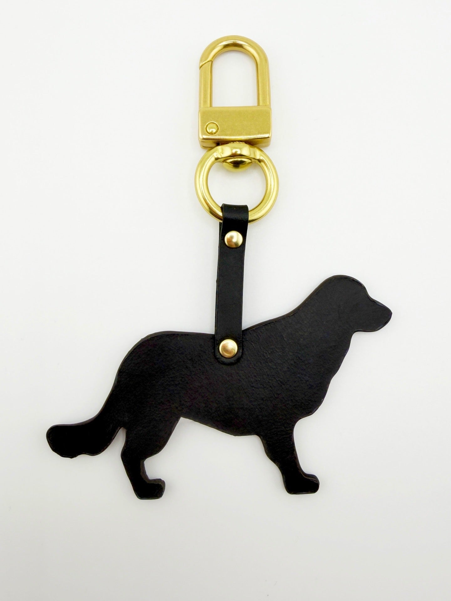 Golden retriever dog