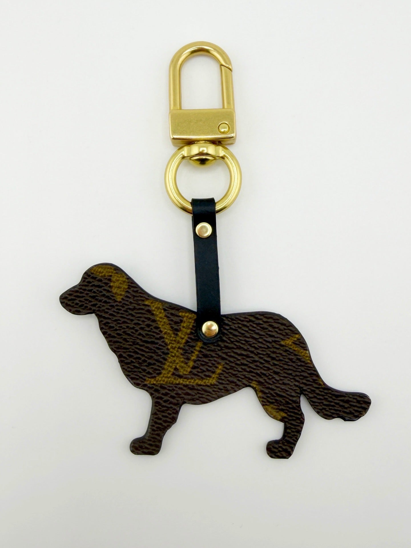 Golden retriever dog